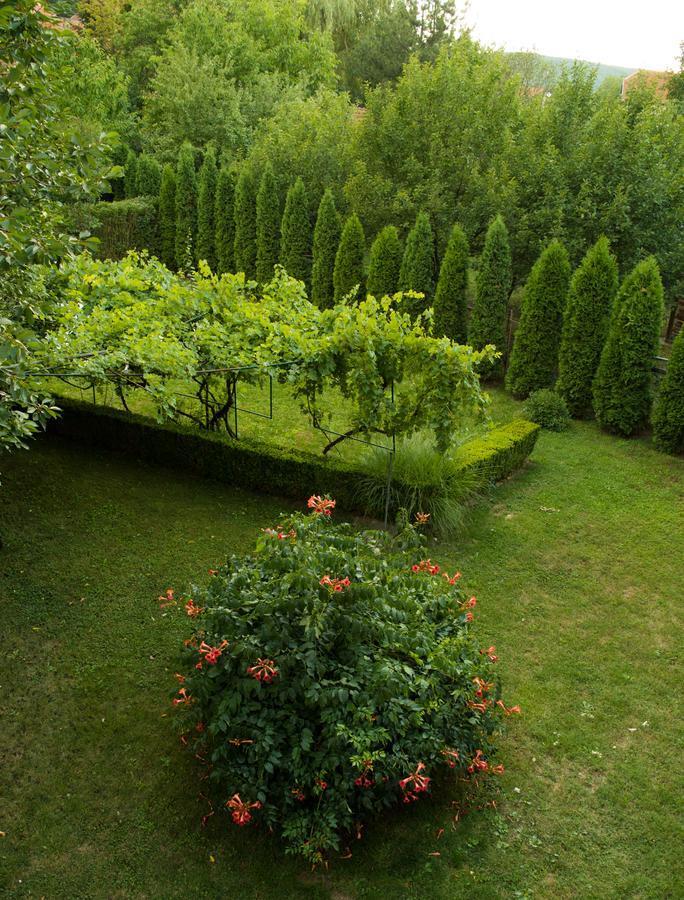 Guest House Dimitrije Niska Banja Exteriör bild